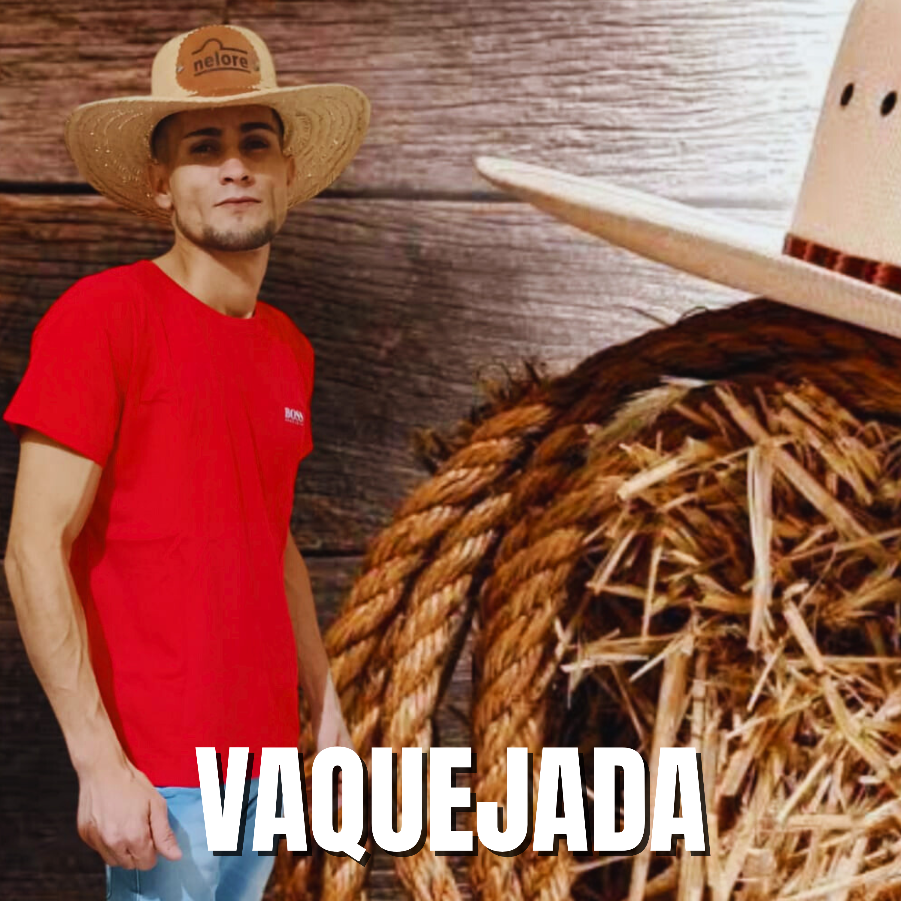 Vaquejada - Single