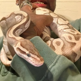 BETTER LIFE (feat. all.net) Durkalini