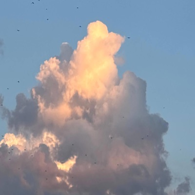 PTP (feat. Rx Papi) - Single