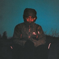 Arc'teryx - Single - YT