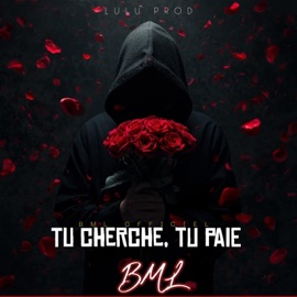 Tu cherche, tu paie BML69