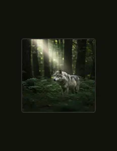 Poslechněte si interpreta Aqelion☆, sledujte hudební videa, přečtěte si životopis, podívejte se na data turné a další informace.