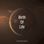 Birth Of Life artwork