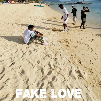 Fake Love - Single