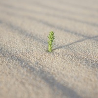 little life - Single - Kichiro