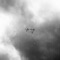 Neu - Juwels lyrics