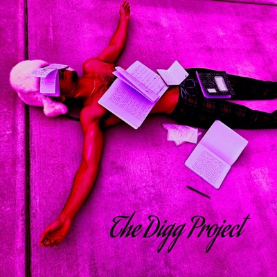 The Digg Project