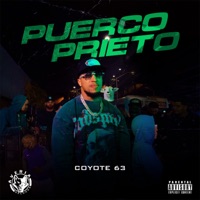Puerco Prieto - Single - Coyote 63