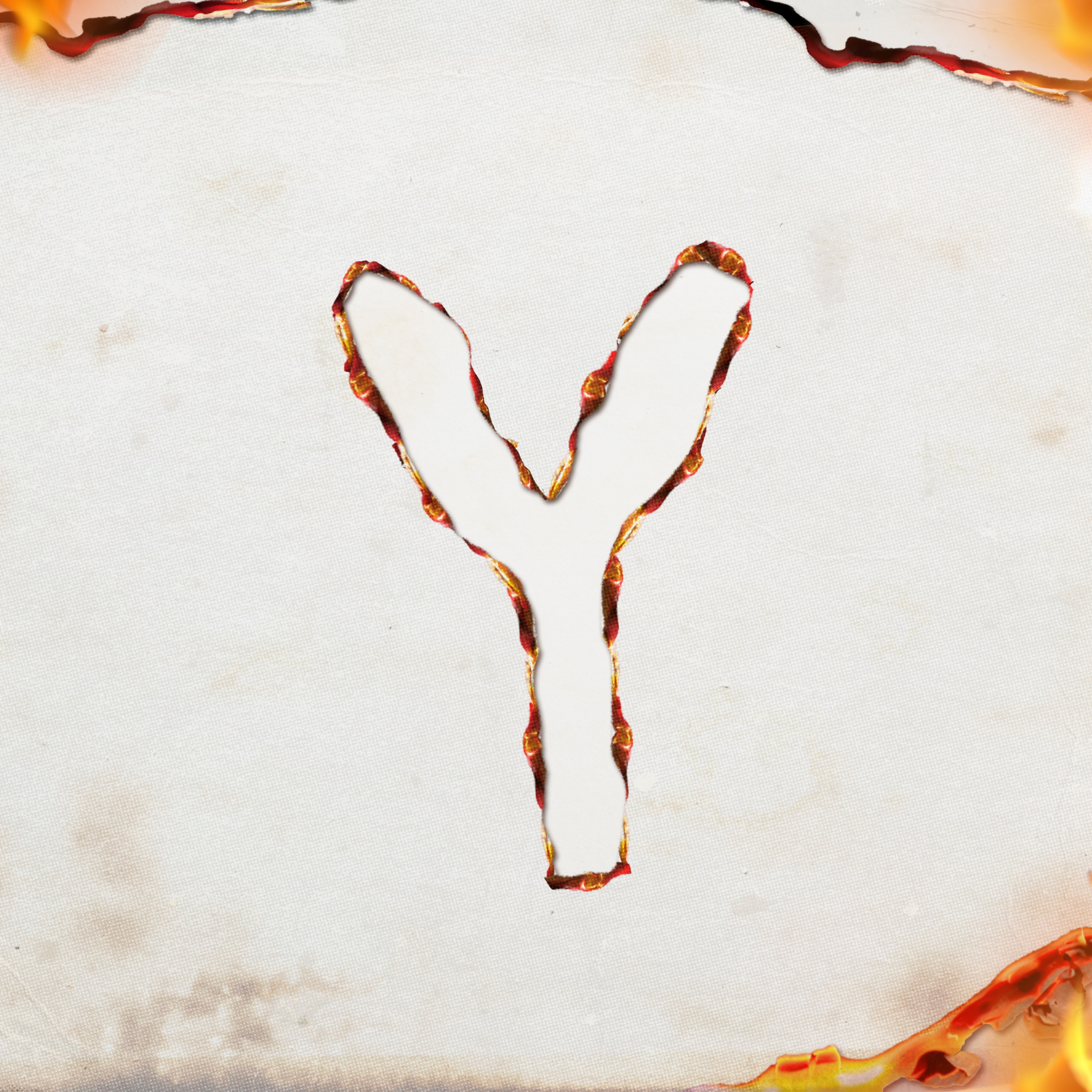 Poizi - Y