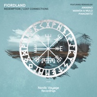 Lost Connections (Pinkowitz Remix) - Single - Fiordland & Pinkowitz