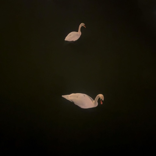 Album artwork
