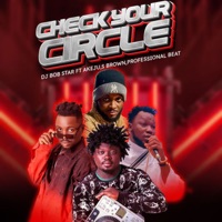 Check your Circle (feat. Akeju, S Brown & Professional Beat) - Single - Dj bob star