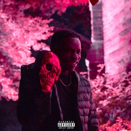 Me and My Twin Luh Cheetoh