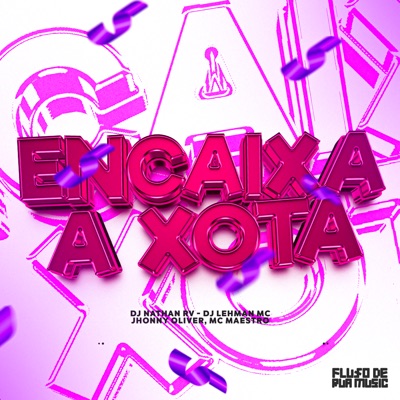 Encaixa a Xota - Single