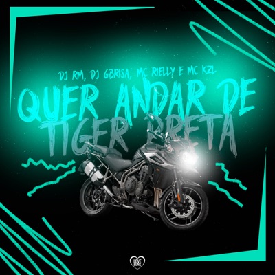 Quer Andar De Tiger Preta (feat. DJ Gbrisa) - Single