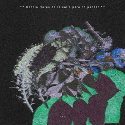 Geranio Pensamiento (feat. vltvlz) - Single