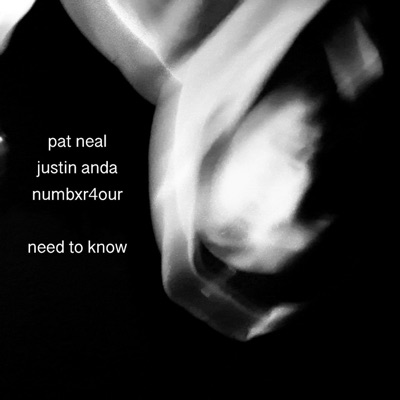 need to know (feat. Justin Anda & Numbxr4our) - Single