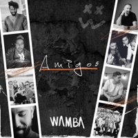 Amigo5 - Single - Wamba