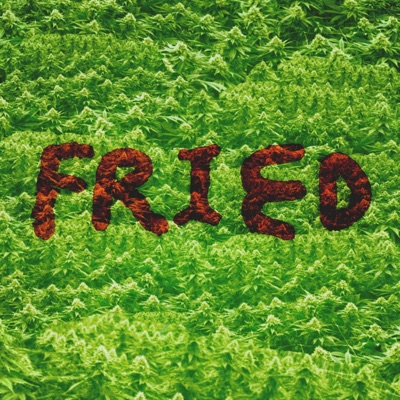 FRIED (feat. Annunaki Cruz & Synthlad)