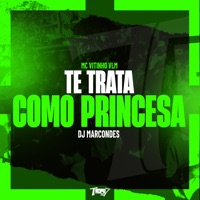 Te Trata Como Princesa - Single - MC VITINHO VLM & DJ Marcondes