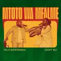 Mtoto Wa Mfalme