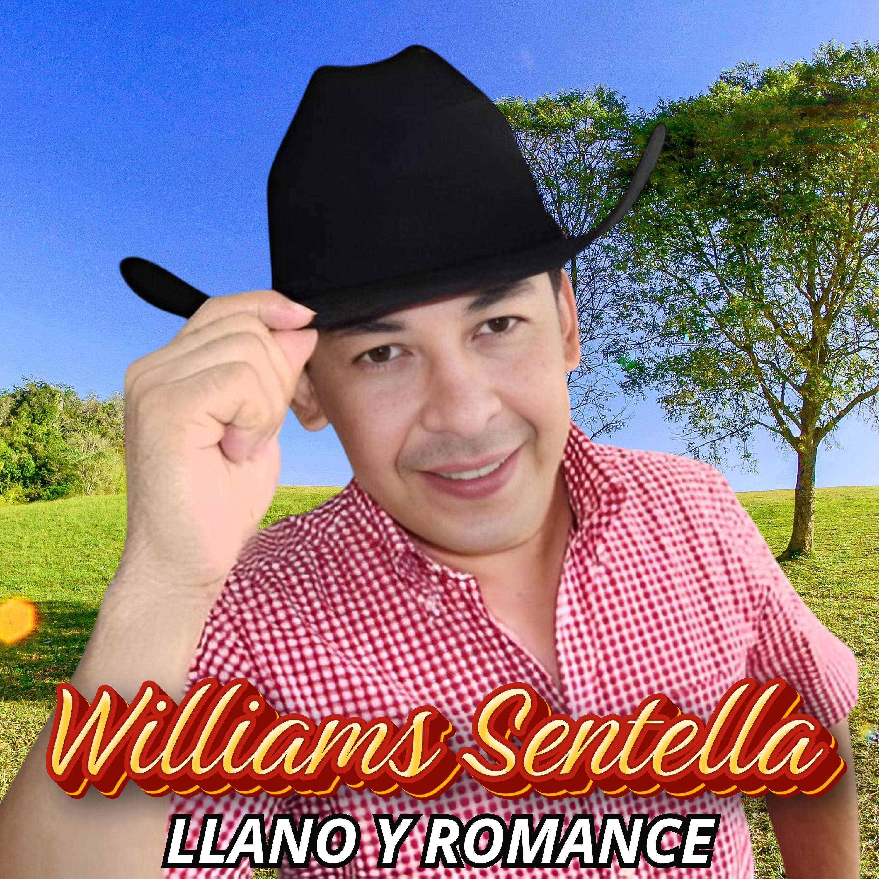 Llano y Romance