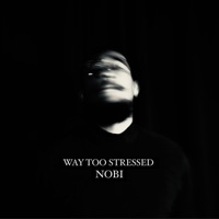 Way Too Stressed - Single - Nobi
