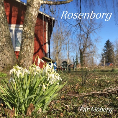 Rosenborg - Single