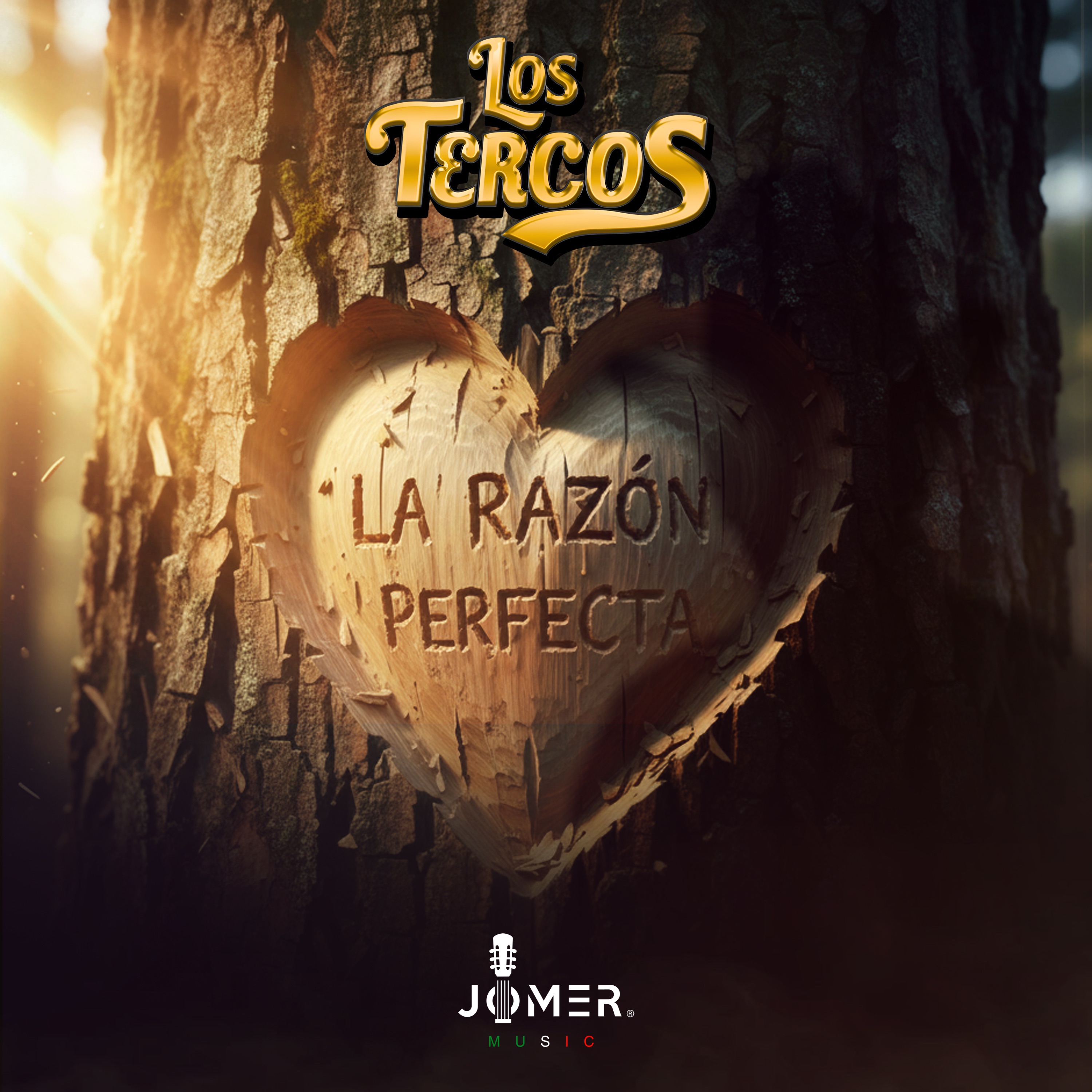Los Tercos - La Razón Perfecta