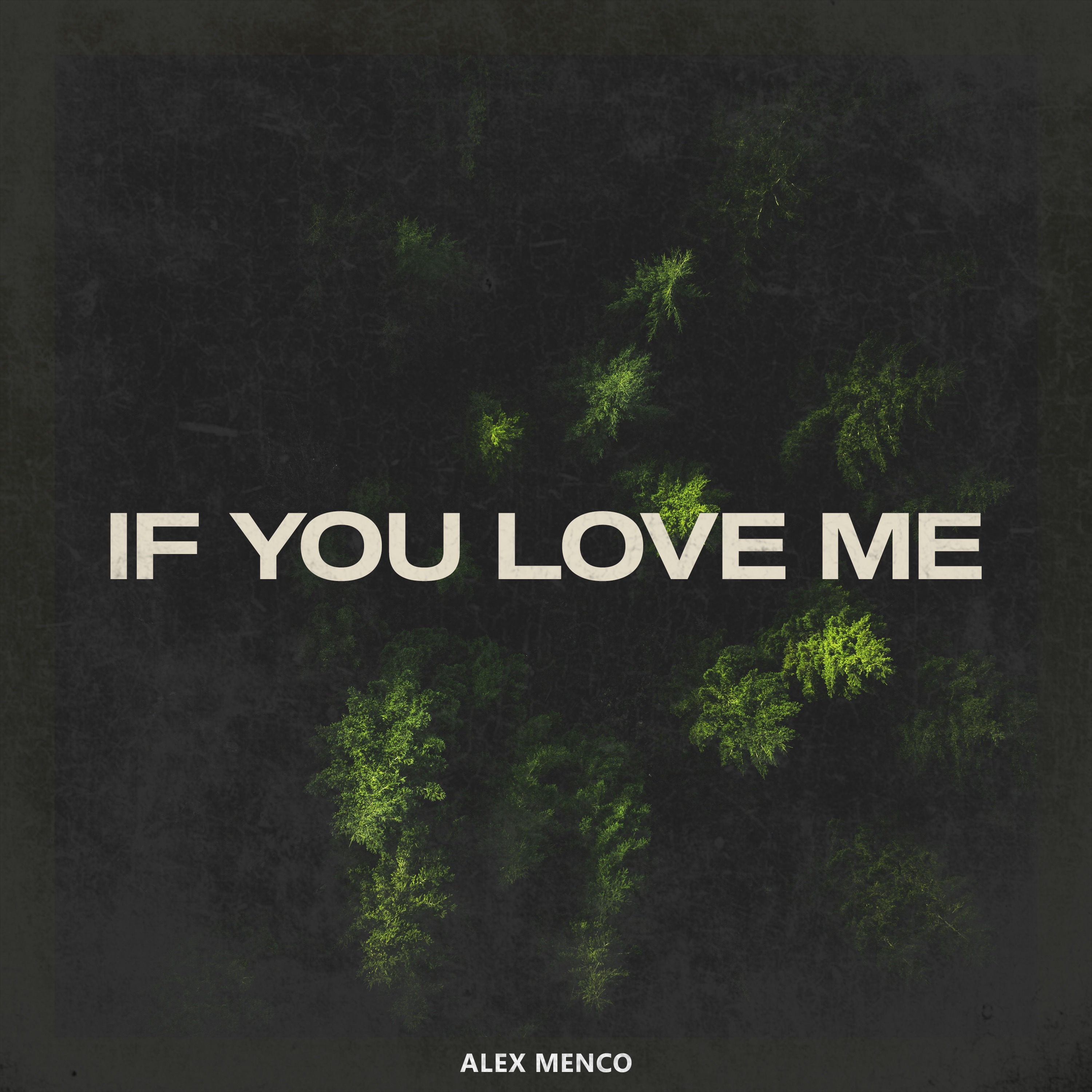 If You Love Me - Single
