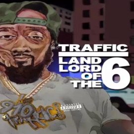 Natural Disaster (feat. Lenny Classix) Traffic