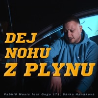 Dej nohu z plynu (feat. Gogo 171 & Šárka Hanáková) - Single - Pawlos
