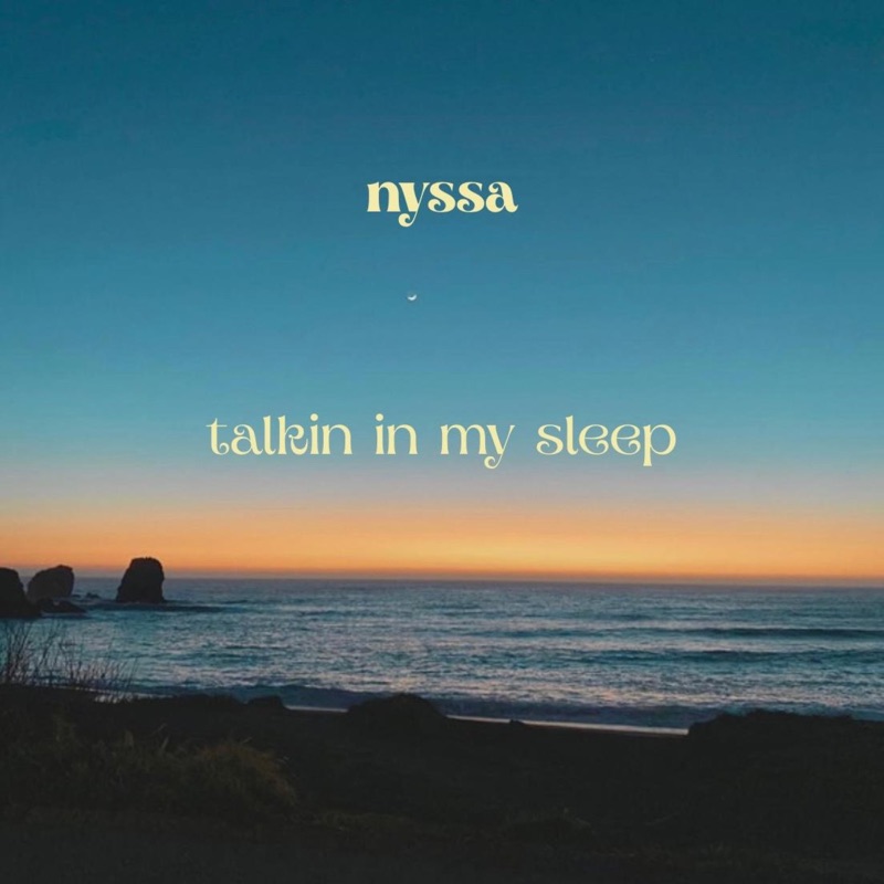 talkin in my sleep - Single