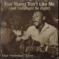 Your Mama Don’t Like Me (And She Might Be Right) (feat. Elijah ‘Hollowfoot’ Turner) - Single - Dumpster Grooves