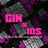 Gin de 10$ (feat. Biel Rocha) - Single - Dj Will Canalha, MC PETT & Dj ZF
