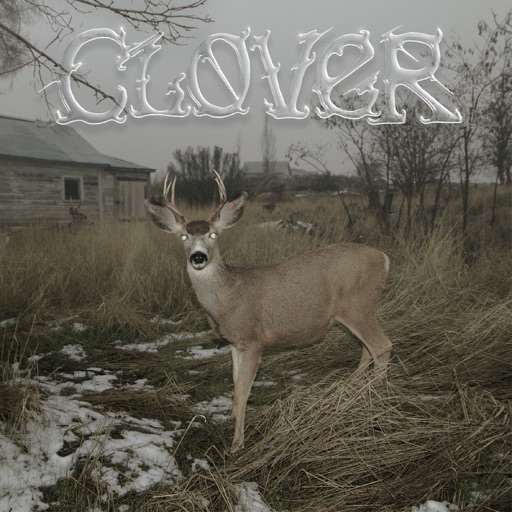 Album artwork