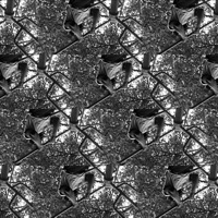 MIDDLETON - Single - SSOLOGOD