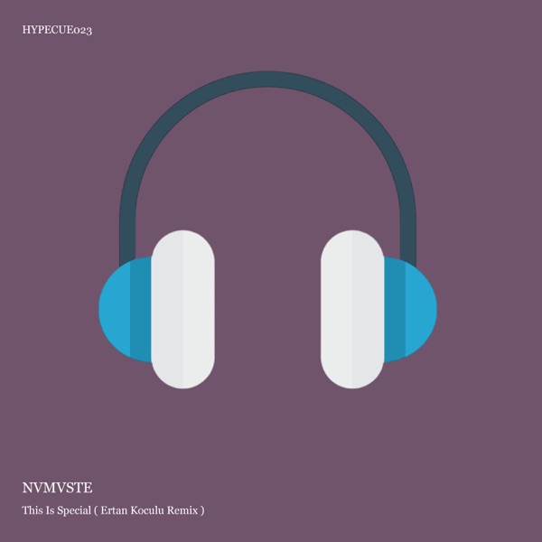 This Is Special (NP Project (RU) & Ertan Koculu Remix) - Single