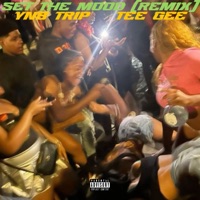 Set The Mood (Remix) - Single - YNB Trip & Tee Gee