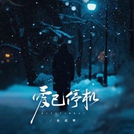 爱已停机 (伴奏) 金成博