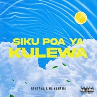 Siku Poa Ya Kulewa - Single - Benzema & Wakanema