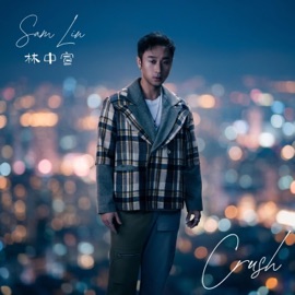 Crush On You Sam Lin