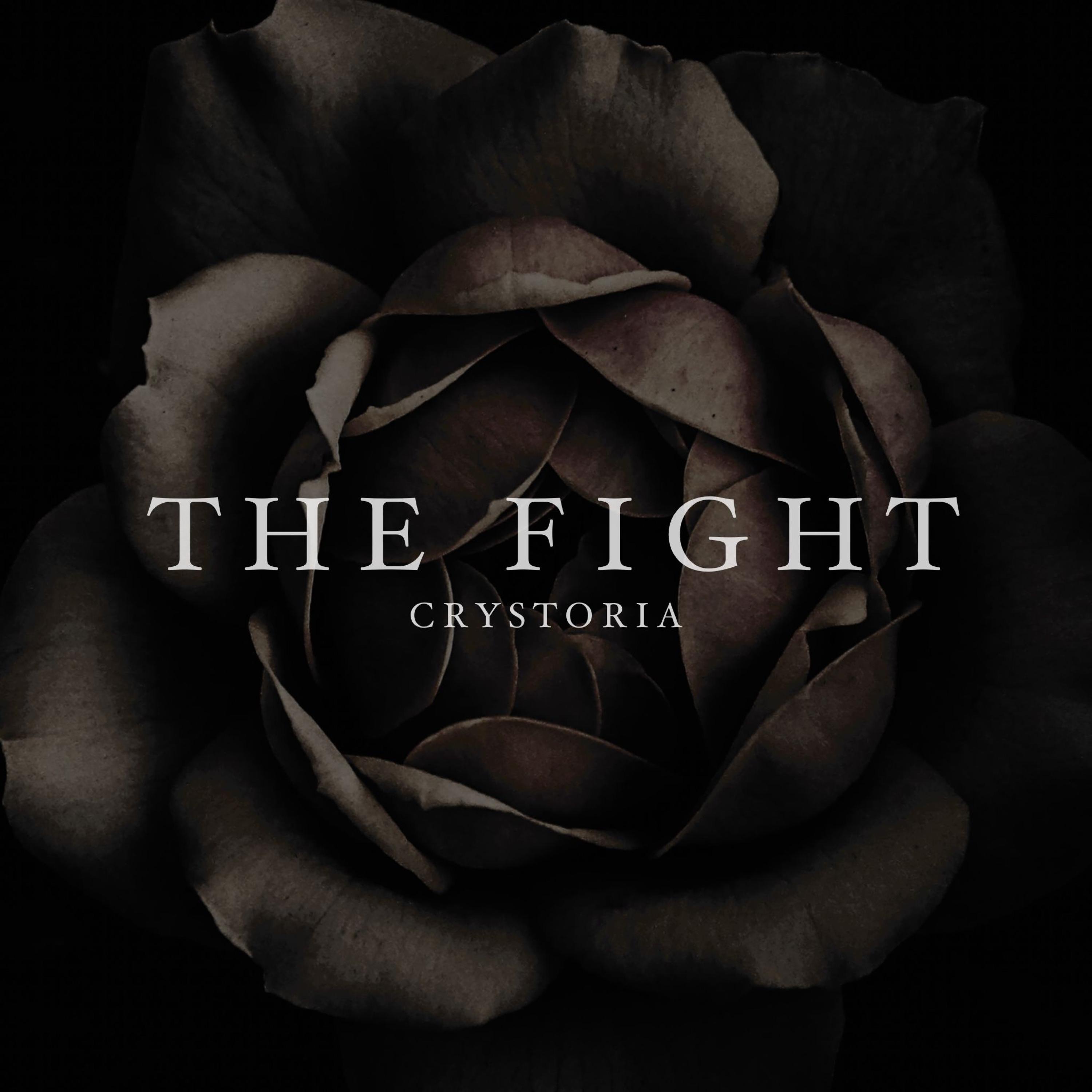 The Fight - Single