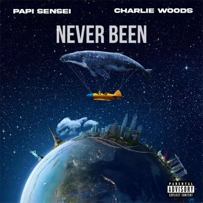 Never Been (feat. Charlie Woods) [Radio Edit] - Single