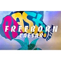 Amor (feat. Mc culpado) - Single - Freeborn Caesar