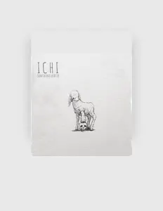 Ouve SomethingEverAfter, vê vídeos de música, lê a biografia, vê as datas da digressão e muito mais!