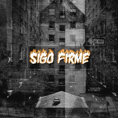 Sigo Firme - Single