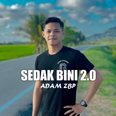Song - Sedak Bini 2.0 - Adam Zbp