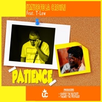 Patience (feat. T-Low) - Single - Umusepela Crown