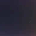 Fly